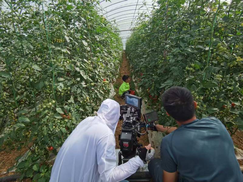 浦口区产品宣传视频拍摄公司进阶指南，助力品牌抢占传播高地